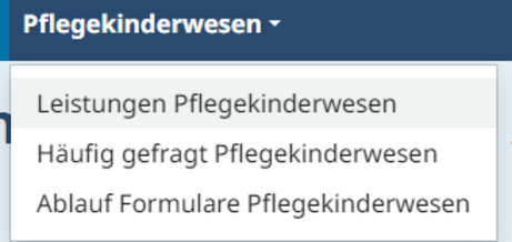 Menüpunkte unter Pflegekinderwesen