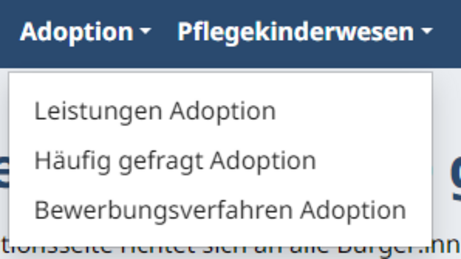 Menüpunkte unter Adoption